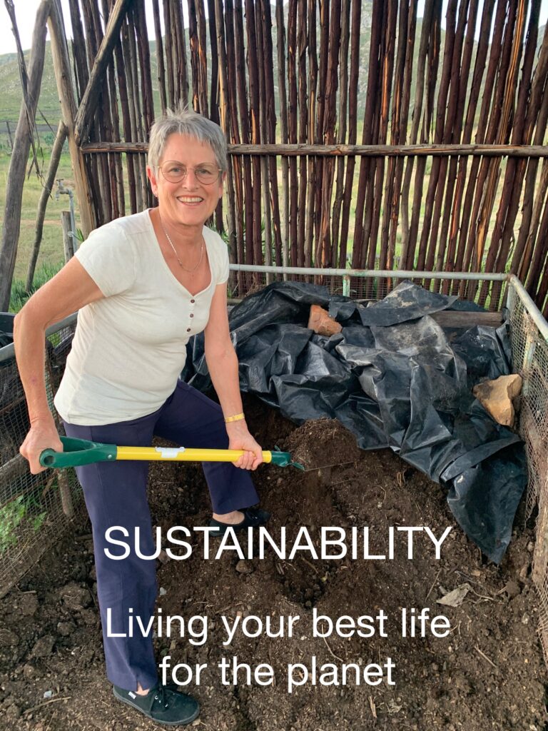 Colleen - Sustainability